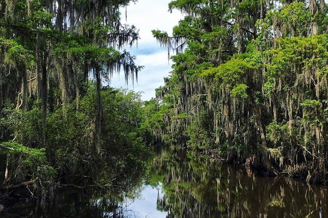 Highlights of New Orleans City and Swamp Tour Combination - FAQ