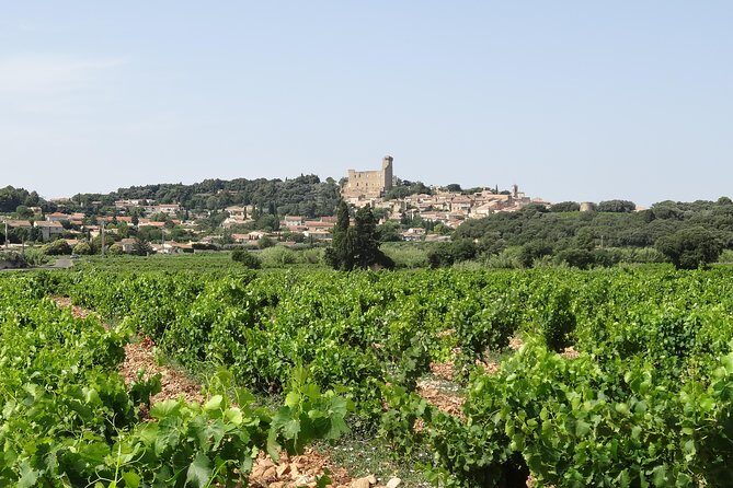 Highlights of Provence : Chateauneuf du Pape & Luberon - An In-Depth Look at the Tour Experience