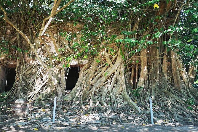 Highlights of Ratchaburi & Samut Songkhram provinces - Lunch and Comforts