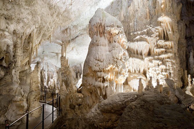 Highlights of Slovenia - Postojna & Bled (Tickets included) - Introduction: What to Expect from This Tour