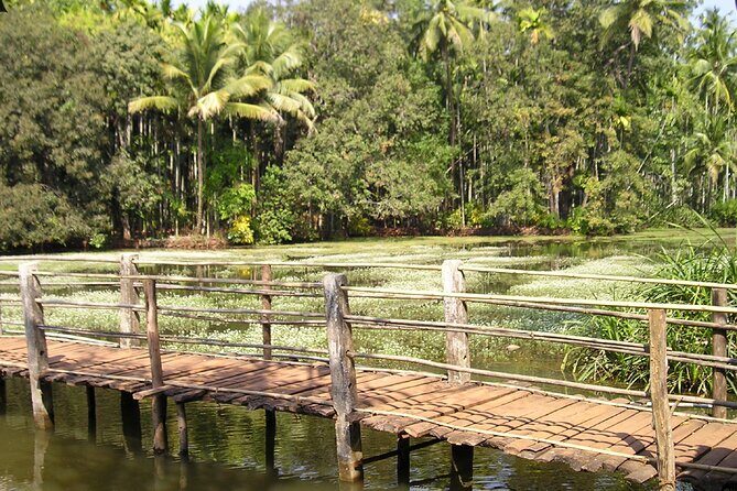Highlights of South Goa with Spice Plantation Tour (Guided Fullday Tour by Car) - Exploring the Highlights of South Goa with a Guided Full-Day Car Tour