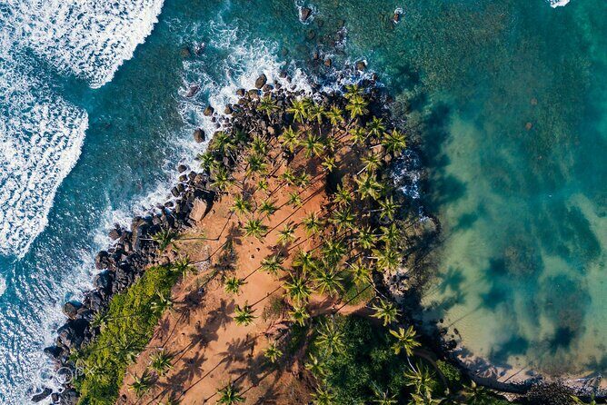 Highlights of Sri Lanka 8 Days Private Tour - Overall Value and Experience
