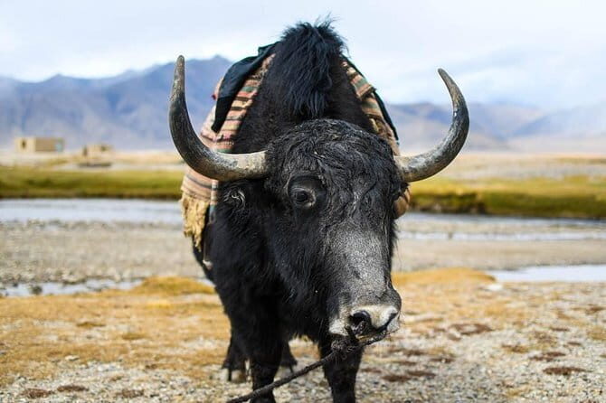 Highlights of Tajikistan - An Authentic and Adventurous Route Through Tajikistan’s Highlights