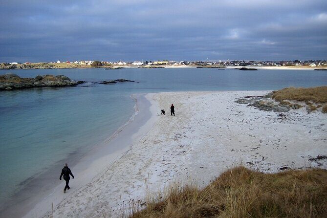 Highlights of the Region -City/Skudenes/Avaldsnes Guided Bustour - Final Thoughts