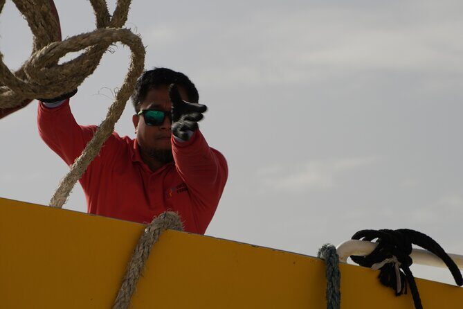 Highspeed Catamaran Crossing Between Malta and Gozo - The Sum Up: Is This the Right Choice for You?