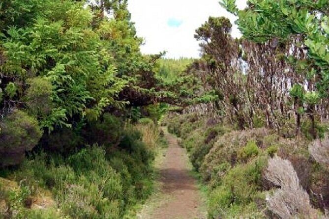 Hike 3 hours Inland Terceira Island - The Details of the Hike: What to Expect