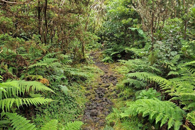 Hike 3 hours Inland Terceira Island - Who Will Enjoy This Hike?