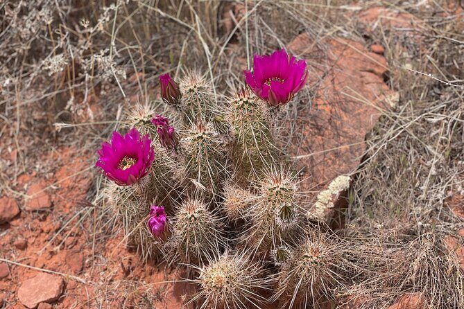 Hike and Heal Couples Relationship in Sedona Healing Red Rocks - Who Should Consider This Tour?