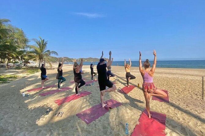 Hike and Yoga Jungle Experience in Mexico - An In-Depth Look at the Jungle and Beach Yoga Tour
