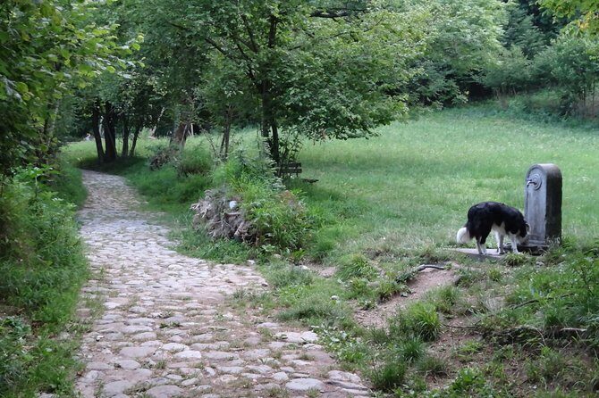 Hike & Beer: beer tasting & breathtaking views at sunset - What Makes This Tour Stand Out?