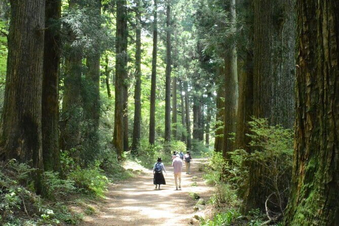 Hike Hakone Hachiri - Practicalities and Value