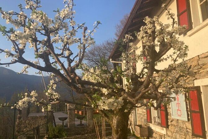 Hike in Blevios Forest for a Private Yoga Class - FAQs