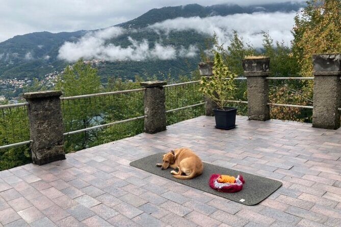 Hike in Blevios Forest for a Private Yoga Class - Final Thoughts