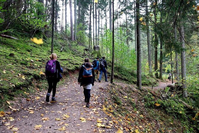 Hike In Gauja National Park - Up And Down The Switzerland Of Latvia - The Itinerary: What to Expect on the Trail