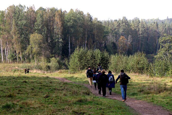 Hike In Gauja National Park - Up And Down The Switzerland Of Latvia - Why Travelers Love This Tour