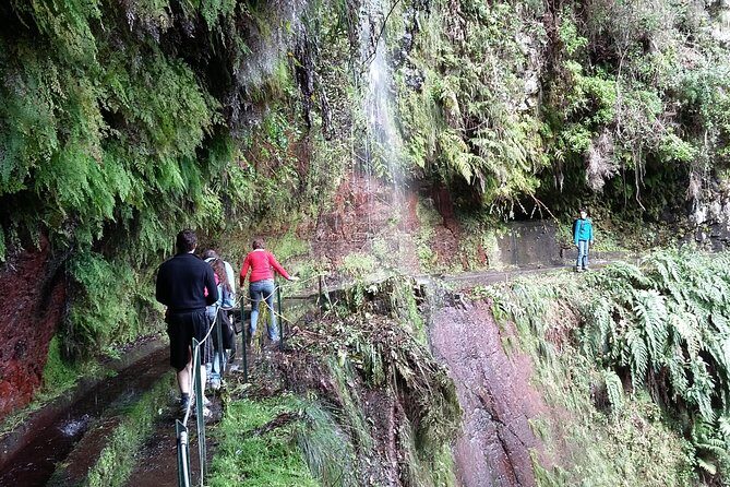 Hike in Laurisilva Levada do Rei - Madre of Life small Group guided walk - FAQ: Your Questions Answered