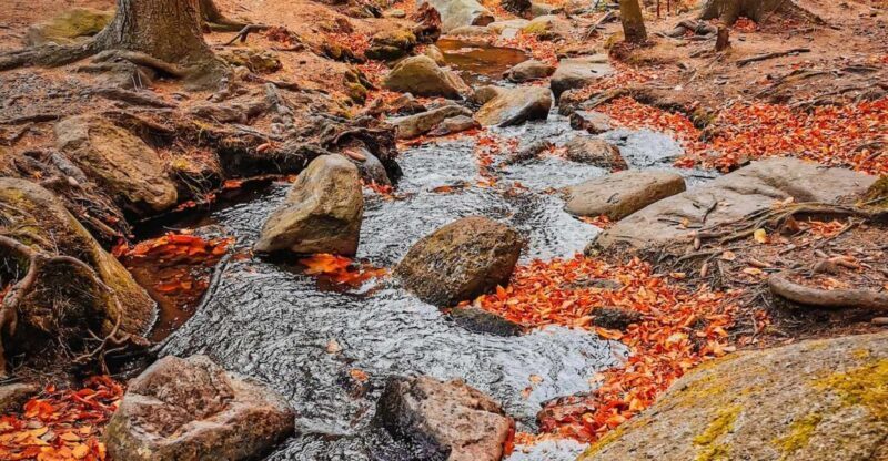 Hike in Polish Mountains: Day trip to Rudawy Janowickie - Practical Details