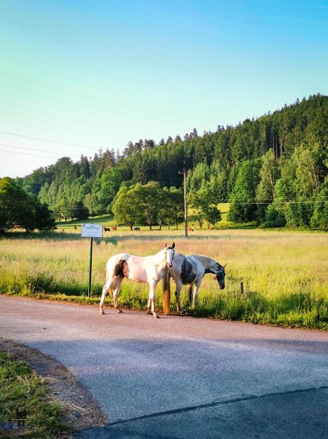 Hike in Polish Mountains: Day trip to Rudawy Janowickie - FAQ
