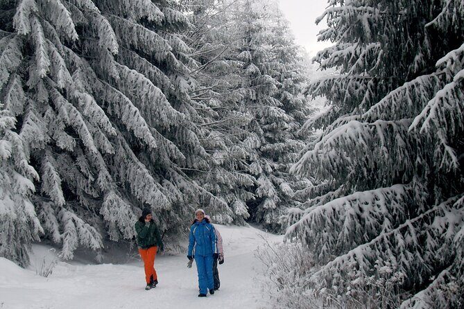 Hike in The Central Balkan National Park - Authentic Experiences and Real Traveler Insights