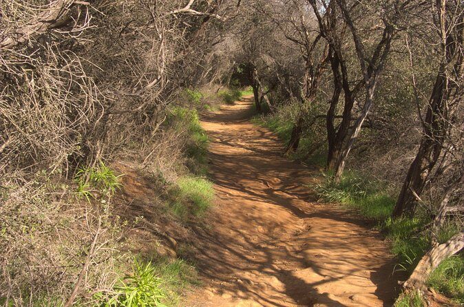 Hike in the Santa Monica Mountains - FAQs