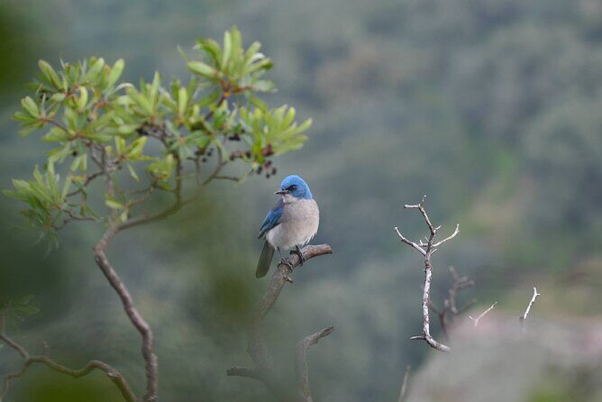 Hike in the Sierra de Santa Rosa - Discover the Sierra de Santa Rosa: A Balance of Nature and History