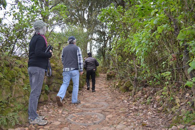 Hike in the Sierra de Santa Rosa - Who Will Love This Tour?