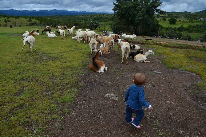 Hike in the Sierra de Santa Rosa - Final Thoughts