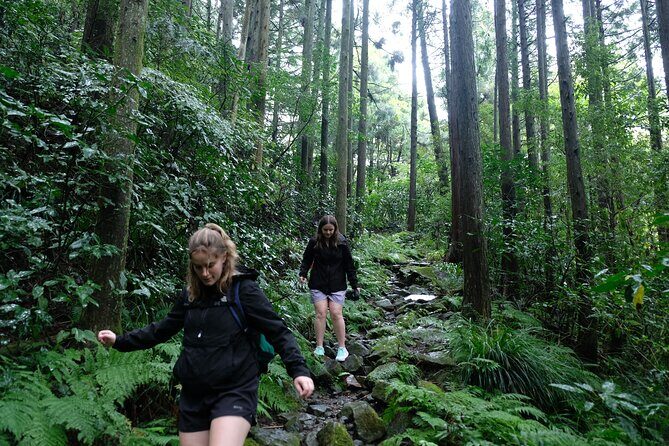 Hike Japan Heritage Hakone Hachiri (Half Day) - Exploring the Hakone Hachiri Trail: A Guided Half-Day Adventure in Japan