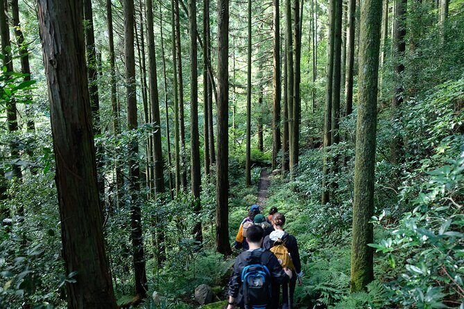 Hike Japan Heritage Hakone Hachiri (Half Day) - The Sum Up: Is It Worth It?