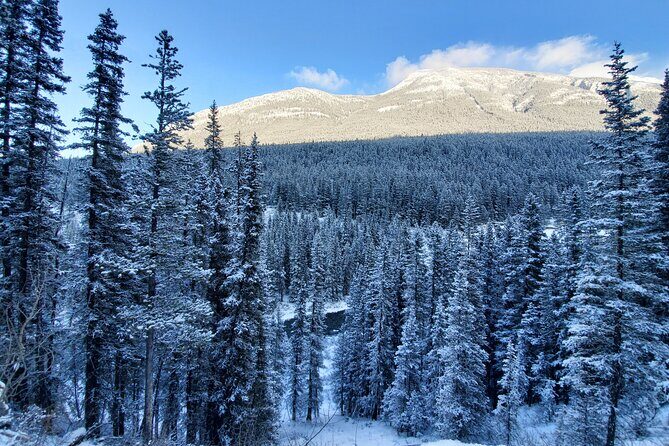 Hike Joffre Lake, Whistler & Shannon Falls Tour - Key Points