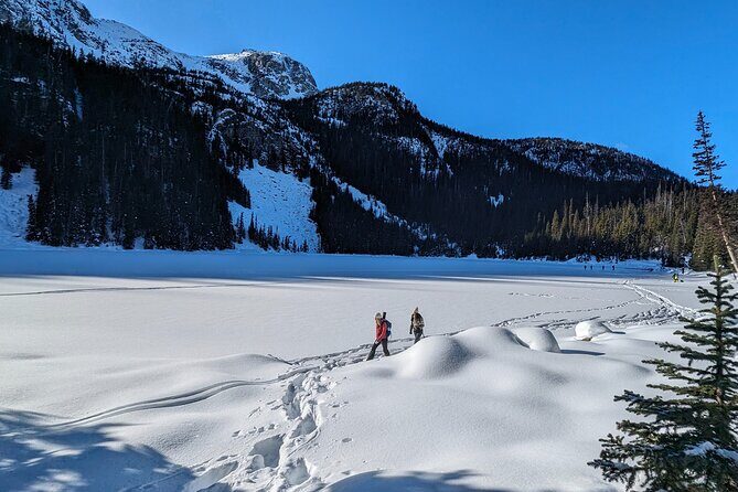 Hike Joffre Lake, Whistler & Shannon Falls Tour - Who Should Consider This Tour?