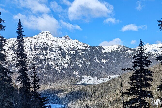 Hike Joffre Lake, Whistler & Shannon Falls Tour - The Sum Up