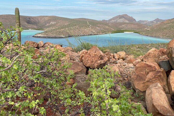 Hike La Paz Balandra Overlook "The most beautiful beach in MX!" - Why This Tour Offers Real Value