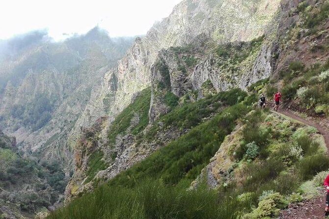 Hike Larano, Boca do Risco Porto da Cruz Levada in a small group - What to Expect from the Experience