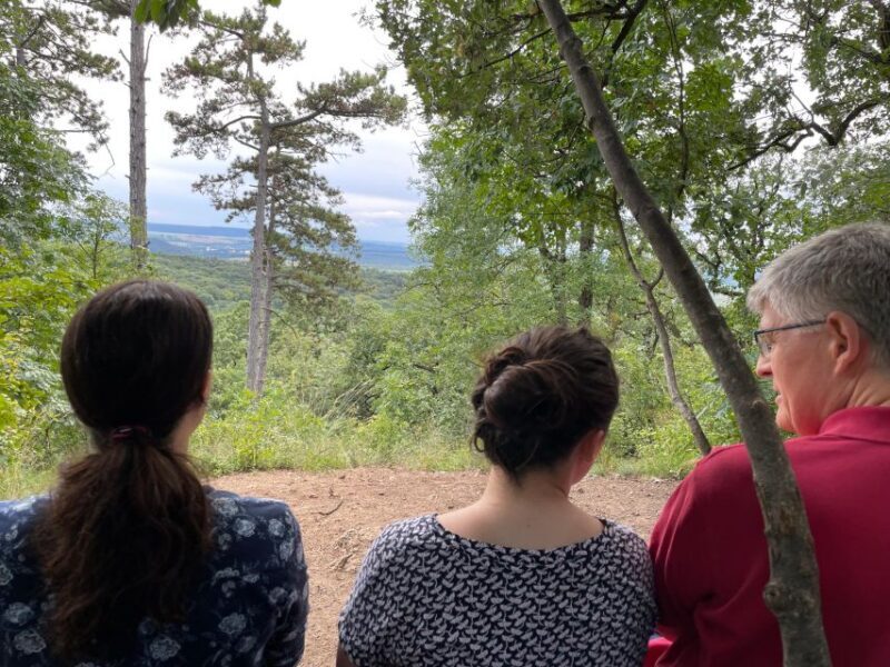 Hike, nature & picturesque view over Budapest - Key Points