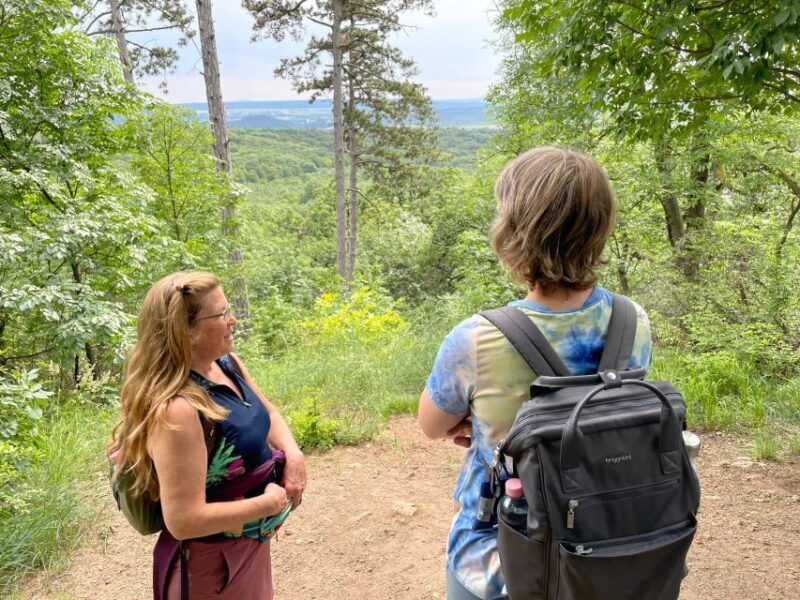 Hike, nature & picturesque view over Budapest - An In-Depth Look at the Tour Experience