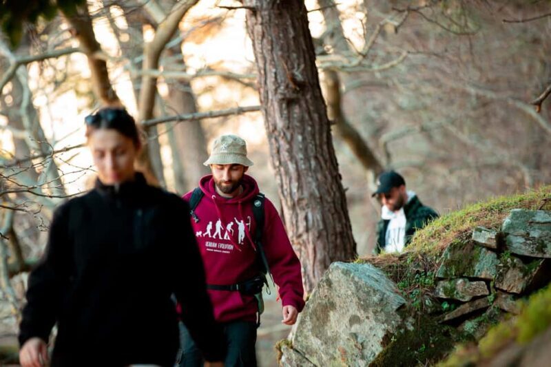 Hike Randi's Forest, Seychelles by Boat & Lunch - Why This Tour Works for You