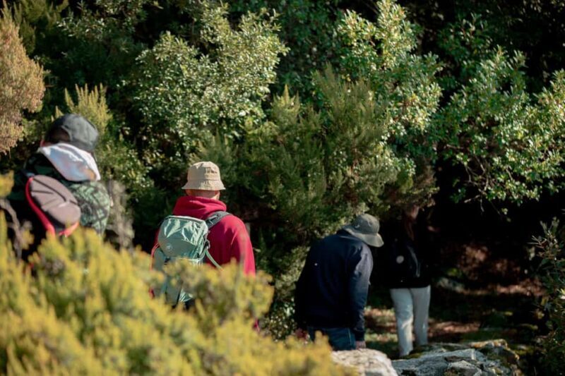 Hike Randi's Forest, Seychelles by Boat & Lunch - The Sum Up