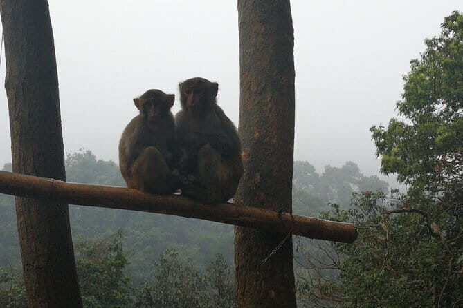Hike the monkey hill - Who Would Love This Tour?