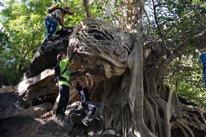 Hike the native Pericu road in Sierra de la Laguna. - What Sets This Tour Apart