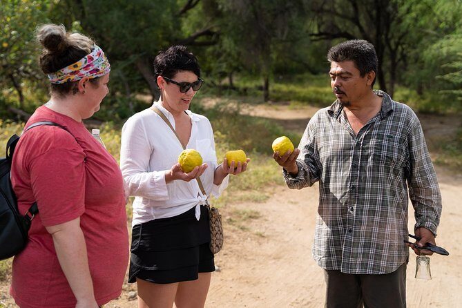 Hike the native Pericu road in Sierra de la Laguna. - The Sum Up
