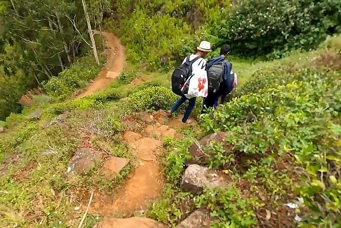 Hike to Devil's Staircase - An In-Depth Look at the Devils Staircase Trek