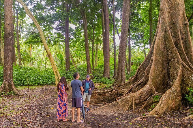 Hike to Elephant beach exploring tropical flora and fauna - Exploring the Jungle and Flora of Elephant Beach Trek: An Authentic Nature Escape