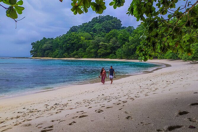 Hike to Elephant beach exploring tropical flora and fauna - The Experience in Detail: What to Expect from the Elephant Beach Trek