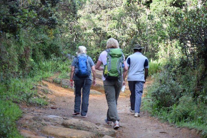 Hike to Horton Plains Border via Rail Tracks - An In-Depth Look at the Hike to Horton Plains Border via Rail Tracks