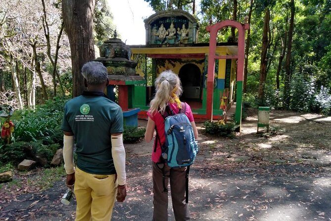 Hike to Horton Plains Border via Rail Tracks - FAQ