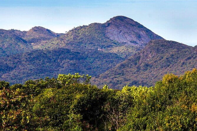 Hike to Kirigalpoththa Mountain Range via Horton Plains - Who Will Love This Tour?
