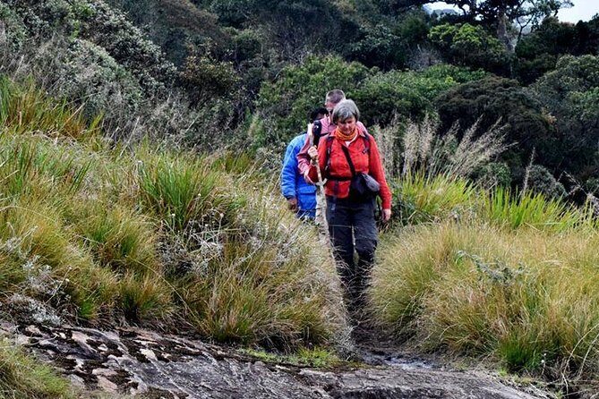Hike to Kirigalpotta Mountain Via Horton Plains National Park - The Itinerary Breakdown: What to Expect