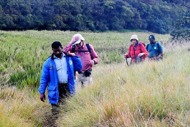 Hike to Kirigalpotta Mountain Via Horton Plains National Park - FAQs