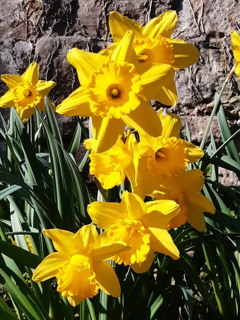 Hike to Spiritual Sites Near Budapest - FAQ